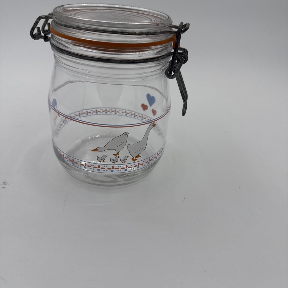 Vintage ARC France Glass Hinged Canister 3/4L Geese & Hearts 80s Country Pastel